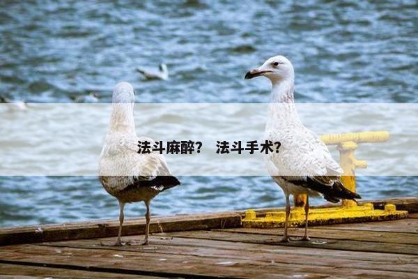 法斗麻醉？ 法斗手术？