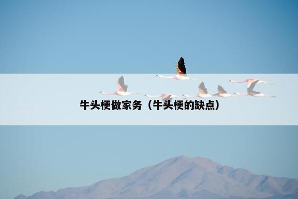 牛头梗做家务（牛头梗的缺点）