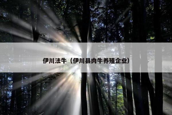 伊川法牛（伊川县肉牛养殖企业）