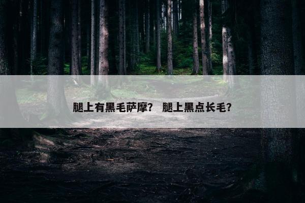 腿上有黑毛萨摩？ 腿上黑点长毛？
