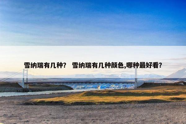 雪纳瑞有几种？ 雪纳瑞有几种颜色,哪种最好看？