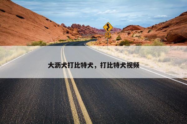 大沥犬打比特犬，打比特犬视频