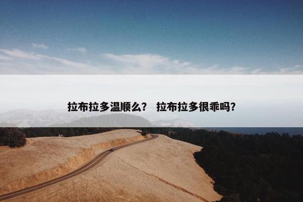 拉布拉多温顺么？ 拉布拉多很乖吗？