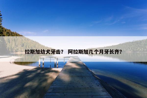 拉斯加幼犬牙齿？ 阿拉斯加几个月牙长齐？