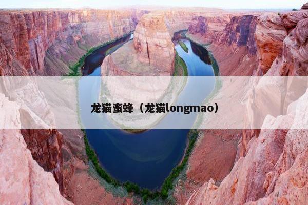 龙猫蜜蜂（龙猫longmao）