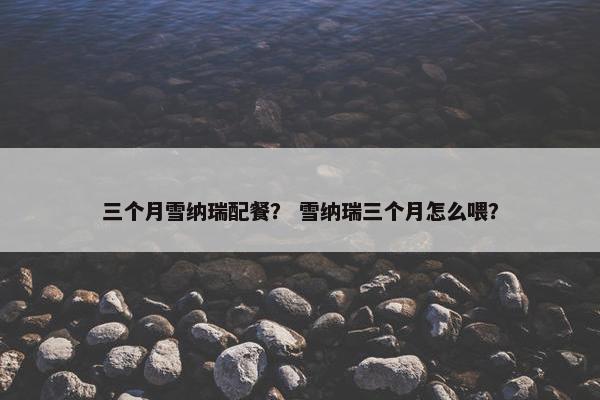 三个月雪纳瑞配餐？ 雪纳瑞三个月怎么喂？