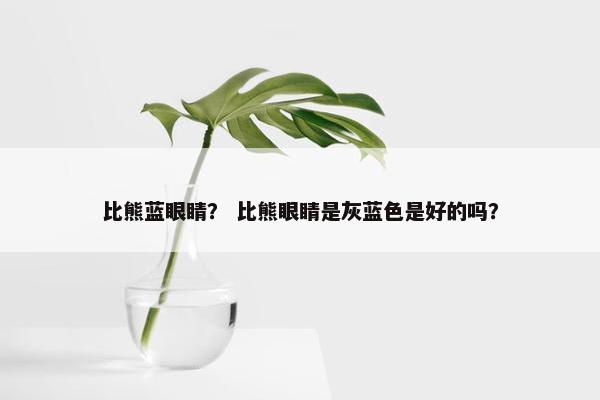 比熊蓝眼睛？ 比熊眼睛是灰蓝色是好的吗？