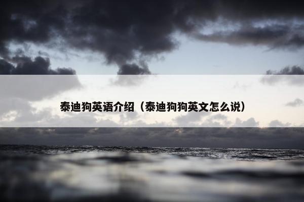 泰迪狗英语介绍（泰迪狗狗英文怎么说）