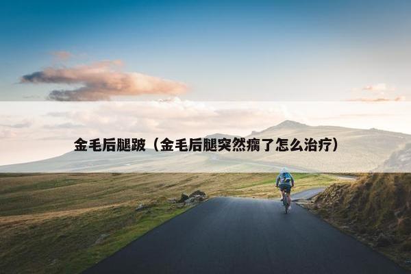 金毛后腿跛（金毛后腿突然瘸了怎么治疗）