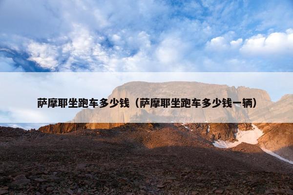 萨摩耶坐跑车多少钱（萨摩耶坐跑车多少钱一辆）