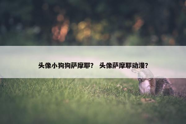 头像小狗狗萨摩耶？ 头像萨摩耶动漫？