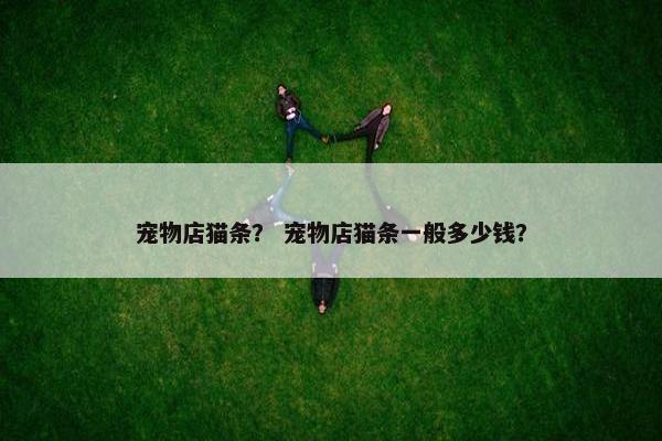宠物店猫条？ 宠物店猫条一般多少钱？
