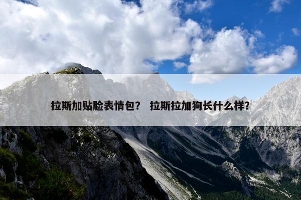 拉斯加贴脸表情包？ 拉斯拉加狗长什么样？