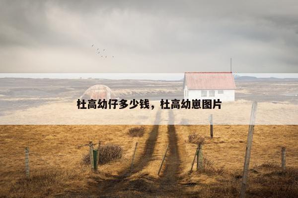 杜高幼仔多少钱，杜高幼崽图片