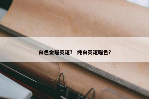 白色金瞳英短？ 纯白英短瞳色？