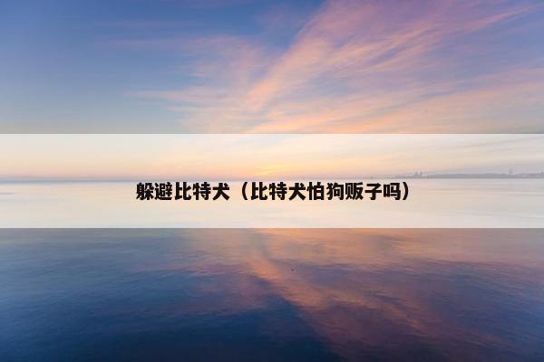 躲避比特犬（比特犬怕狗贩子吗）