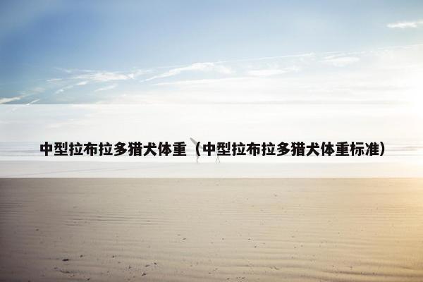 中型拉布拉多猎犬体重（中型拉布拉多猎犬体重标准）