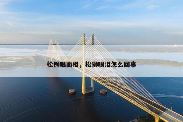 松狮眼面相，松狮眼泪怎么回事