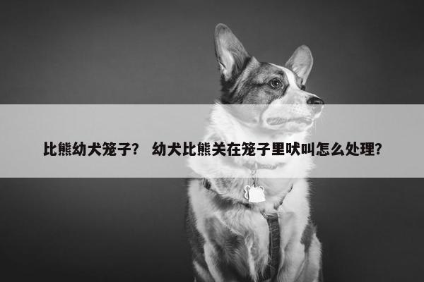比熊幼犬笼子？ 幼犬比熊关在笼子里吠叫怎么处理？