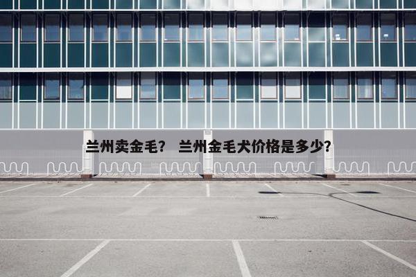 兰州卖金毛？ 兰州金毛犬价格是多少？