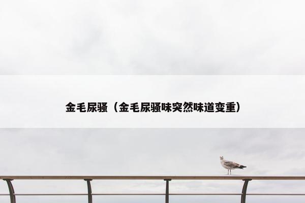金毛尿骚（金毛尿骚味突然味道变重）